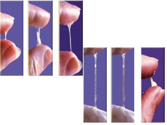 ความสอดคล้องของ pre -ejaculation